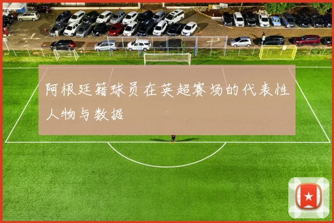 阿根廷籍球员在英超赛场的代表性人物与数据