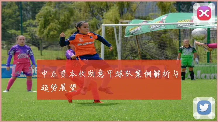 中东资本收购意甲球队案例解析与趋势展望