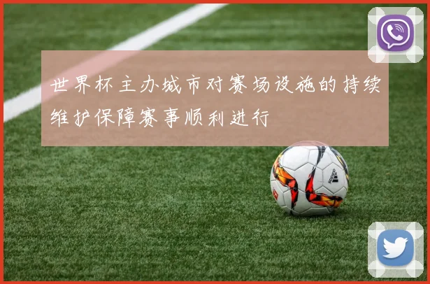 世界杯主办城市对赛场设施的持续维护保障赛事顺利进行