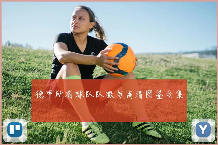 德甲所有球队队徽与高清图鉴合集