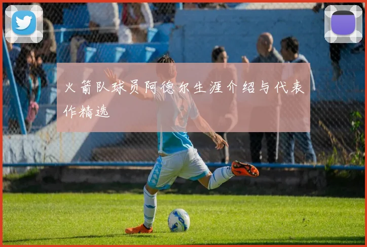 火箭队球员阿德尔生涯介绍与代表作精选