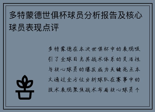 多特蒙德世俱杯球员分析报告及核心球员表现点评