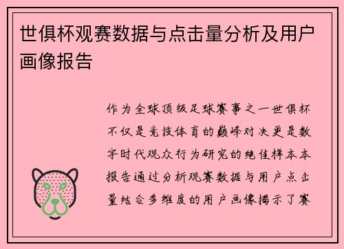 世俱杯观赛数据与点击量分析及用户画像报告